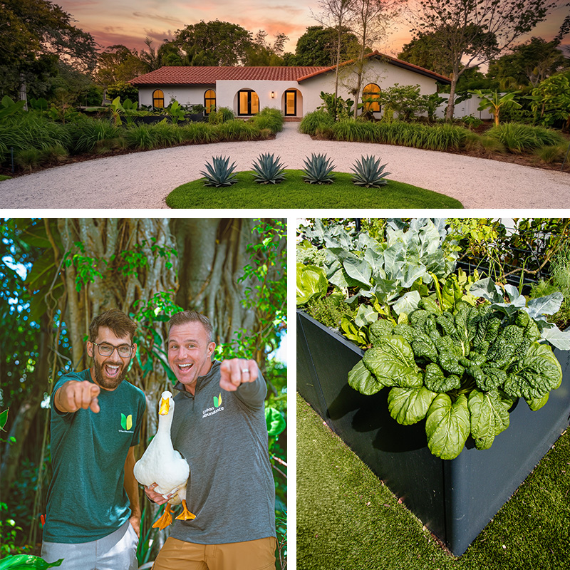 Goodbird Landscaping and Urban Abundance